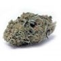 Perfect Tree Seeds Cannabis Strain Loukoum Feminized Marijuana Seeds Original Collector Souvenir Authentic Packaging Packs