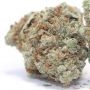 Dark Horse Genetics The Pedigree Smoke Buds Weed Ganja Skunk Dope Pot Images Pics Nuggets