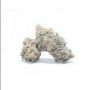 Compound Genetics High Society Smoke Buds Weed Ganja Skunk Dope Pot Images Pics Nuggets