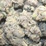 High Society Feminized by Compound Genetics THC Content Potency Strength CBD Height Yield Flowering Time Indica Sativa Genetics
