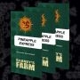 Pineapple Express Feminized Marijuana Strain by Barneys Farm For Sale Online at Cannabis Seeds Outlet