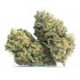 Pheno Finder Seeds Sour Kuntz Smoke Buds Weed Ganja Skunk Dope Pot Images Pics Nuggets