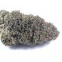 Compound Genetics Slipstream Smoke Buds Weed Ganja Skunk Dope Pot Images Pics Nuggets