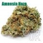 Amnesia Haze Bulk Marijuana Seeds Wholesale Feminized 100 Cannabis Seeds