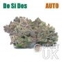 Automatic Do Si Dos Bulk Marijuana Seeds Wholesale Feminized 100 Cannabis Seeds