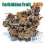Auto Forbidden Fruit Bulk Marijuana Seeds Wholesale Feminized 100 Cannabis Seeds Cheap Discounted
