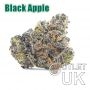 Black Apple Bulk Marijuana Seeds Wholesale Feminized 100 Cannabis Seeds Cheap Discounted