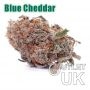 Blue Cheddar Bulk Marijuana Seeds Wholesale Feminized 100 Cannabis Seeds Cheap Discounted