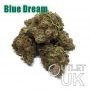 Blue Dream Bulk Marijuana Seeds Wholesale Feminized 100 Cannabis Seeds Cheap Discounted