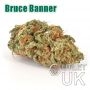 Bruce Banner Bulk Marijuana Seeds Wholesale Feminized 100 Cannabis Seeds Cheap Discounted