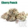 Cherry Punch Bulk Marijuana Seeds Wholesale Feminized 100 Cannabis Seeds Cheap Discounted