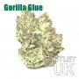 Gorilla Glue Bulk Marijuana Seeds Wholesale Feminized 100 Cannabis Seeds Cheap Discounted