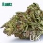Runtz Bulk Marijuana Seeds Wholesale Feminized 100 Cannabis Seeds Cheap Discounted