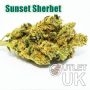 Sunset Sherbet Bulk Marijuana Seeds Wholesale Feminized 100 Cannabis Seeds Cheap Discounted