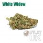 White Widow Bulk Marijuana Seeds Wholesale Feminized 100 Cannabis Seeds Cheap Discounted