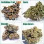 Cheap Bulk Cannabis Seeds - Wholesale Discounted Marijuana Seeds