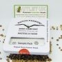 Dutch Passion Cannabis Strain Tropical Tangie Feminized Marijuana Seeds Original Collector Souvenir Authentic Packaging Packs