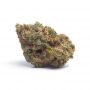 Holy Smoke Seeds Strawberry Diesel Smoke Buds Weed Ganja Skunk Dope Pot Images Pics Nuggets