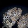 Paradise Seeds Gulupa Smoke Buds Weed Ganja Skunk Dope Pot Images Pics Nuggets