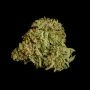Royal Queen Seeds Titan F1 Auto Smoke Buds Weed Ganja Skunk Dope Pot Images Pics Nuggets