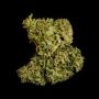 Royal Queen Seeds Medusa F1 Auto Smoke Buds Weed Ganja Skunk Dope Pot Images Pics Nuggets