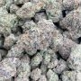Melon Drip Feminized by Terp Treez Seed Co THC Content Potency Strength CBD Height Yield Flowering Time Indica Sativa Genetics