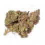 Double Seeds Stardawg Smoke Buds Weed Ganja Skunk Dope Pot Images Pics Nuggets