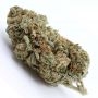 Double Seeds Gorilla Glue Auto Smoke Buds Weed Ganja Skunk Dope Pot Images Pics Nuggets