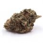 Double Seeds Gelato Auto Smoke Buds Weed Ganja Skunk Dope Pot Images Pics Nuggets