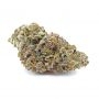 Power Strains Gelato Auto Smoke Buds Weed Ganja Skunk Dope Pot Images Pics Nuggets