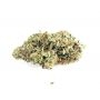 Power Strains 60 Day Grapefruit Auto Smoke Buds Weed Ganja Skunk Dope Pot Images Pics Nuggets