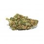 Power Strains White Widow Smoke Buds Weed Ganja Skunk Dope Pot Images Pics Nuggets