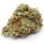 Power Strains Amnesia Haze Smoke Buds Weed Ganja Skunk Dope Pot Images Pics Nuggets