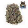 Dark Owl Seeds Vacation Bubba Auto Smoke Buds Weed Ganja Skunk Dope Pot Images Pics Nuggets