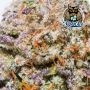 Vacation Bubba Auto Feminized by Dark Owl Seeds THC Content Potency Strength CBD Height Yield Flowering Time Indica Sativa Genet