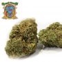Sweet Seeds Sweet Mandarin Zkittlez XL Auto Smoke Buds Weed Ganja Skunk Dope Pot Images Pics Nuggets
