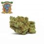 Sweet Seeds Mimosa Bruce Banner XL Auto Smoke Buds Weed Ganja Skunk Dope Pot Images Pics Nuggets