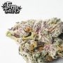 Terp Treez Seed Co Pink Apple Tartz Smoke Buds Weed Ganja Skunk Dope Pot Images Pics Nuggets