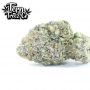 Terp Treez Seed Co New Blue Pancakes S1 Smoke Buds Weed Ganja Skunk Dope Pot Images Pics Nuggets