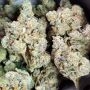 Grateful Seeds Tropical Rain Smoke Buds Weed Ganja Skunk Dope Pot Images Pics Nuggets