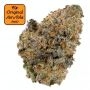 Original Sensible Seeds Black Orchid Auto Smoke Buds Weed Ganja Skunk Dope Pot Images Pics Nuggets