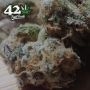 Apricot Auto Feminized by Fast Buds THC Content Potency Strength CBD Height Yield Flowering Time Indica Sativa Genetics