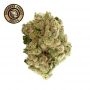 Growers Choice King Louis Garcia Smoke Buds Weed Ganja Skunk Dope Pot Images Pics Nuggets