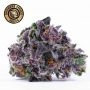 Growers Choice Cherry Zoap Auto Smoke Buds Weed Ganja Skunk Dope Pot Images Pics Nuggets