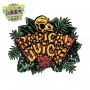 Radical Juice Auto Feminized Marijuana Seeds by Ripper Seeds Buy Online Cheap Discounted Feminised Female Cannabis Seeds Special