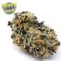 Ripper Seeds Zombie Kush Auto Smoke Buds Weed Ganja Skunk Dope Pot Images Pics Nuggets