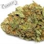 Humboldt Seed Company Strawberry Cheesecake Auto Smoke Buds Weed Ganja Skunk Dope Pot Images Pics Nuggets