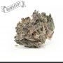 Humboldt Seed Company Gazzurple Smoke Buds Weed Ganja Skunk Dope Pot Images Pics Nuggets