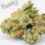 Humboldt Seed Company California Octane Smoke Buds Weed Ganja Skunk Dope Pot Images Pics Nuggets