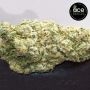 Ace Seeds Mountain Gold Smoke Buds Weed Ganja Skunk Dope Pot Images Pics Nuggets